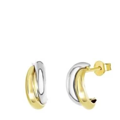 14 Karaat Bicolor Oorbellen