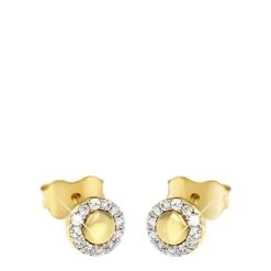 14 Karaat Geelgouden Oorbellen Rond Zirkonia