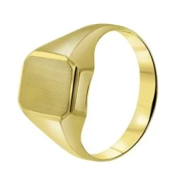 14 Karaat Geelgouden Zegelring Zeskant