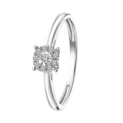 14 Karaat Witgouden Ring Met 10 Diamanten 0,08ct