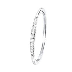14 Karaat Witgouden Ring Met 11 Diamanten (0,06ct)