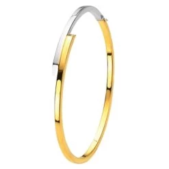 14k Bicolor Gouden Bangle Armband