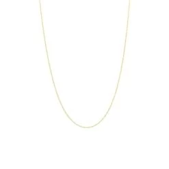 9 Karaat Ketting Prince Of Wales