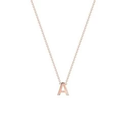 9 Karaat Rose Ketting Met Letter Hanger