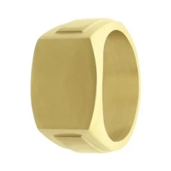 Gerecycled Stalen Goldplated Heren Zegelring