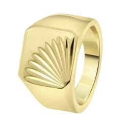 Gerecycled Stalen Goldplated Zegelring Met Bewerking