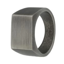 Gerecycled Stalen Heren Zegelring Anique Finish