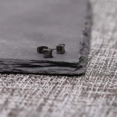 Gerecycled Stalen Zwarte Oorbellen Vierkant Met Zirkonia 4mm 4 Gerecycled Stalen Zwarte Oorbellen Vierkant Met Zirkonia 4mm - Afbeelding 2