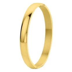 Stalen Armband Bangle Goldplated 8mm