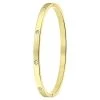 Stalen Goldplated Armband Bangle Geboortestenen