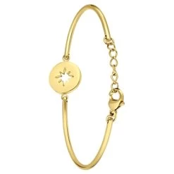 Stalen Goldplated Armband Met Poolster