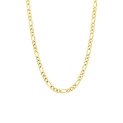 Stalen Goldplated Ketting Figaro