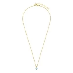 Stalen Goldplated Ketting Met Amazoniet -SieradenSpot Korting stalen goldplated ketting met amazoniet 1
