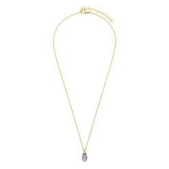 Stalen Goldplated Ketting Met Amethyst -SieradenSpot Korting stalen goldplated ketting met amethyst 1