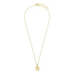 Stalen Goldplated Ketting Met Letter - C -SieradenSpot Korting stalen goldplated ketting met letter c 1