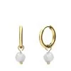 Stalen Goldplated Oorringen Met Amazoniet -SieradenSpot Korting stalen goldplated oorringen met amazoniet
