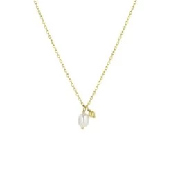 Zilveren Goldplated Ketting Met Zoetwaterparel