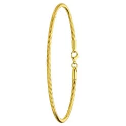 Zilveren Goldplated Slangen Armband Voor Bedels