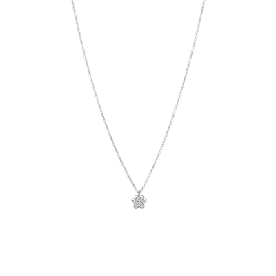 Zilveren Ketting Met Hanger Hondenpoot Zirkonia 3 Zilveren Ketting Met Hanger Hondenpoot Zirkonia