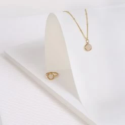 Zilveren Ketting&hanger Gold Gemstone Rose Quartz -SieradenSpot Korting zilveren kettingenhanger gold gemstone rose quartz 4