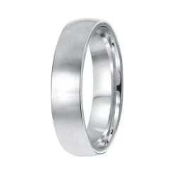 Zilveren Vriendschapsring Riga Heren