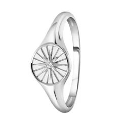 Zilveren Zegelring Disc/galaxy Ster Met Zirkonia